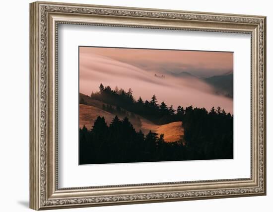 Moody Hills and Fog Flow, Mount Tamalpais, California-Vincent James-Framed Photographic Print