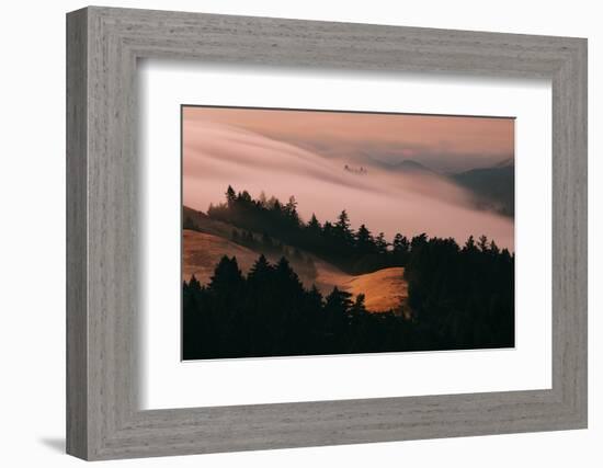 Moody Hills and Fog Flow, Mount Tamalpais, California-Vincent James-Framed Photographic Print