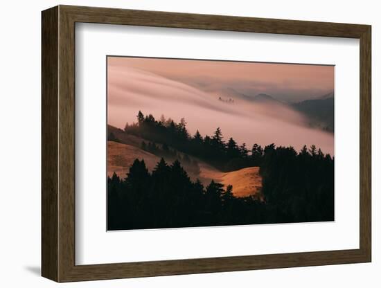 Moody Hills and Fog Flow, Mount Tamalpais, California-Vincent James-Framed Photographic Print