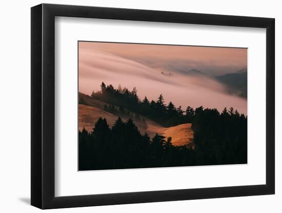 Moody Hills and Fog Flow, Mount Tamalpais, California-Vincent James-Framed Photographic Print