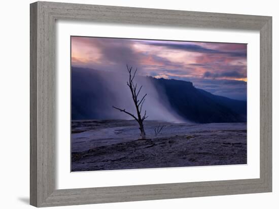 Moody Hot Springs Sunset Tree, Mammoth Hot Springs, Yellowstone-Vincent James-Framed Photographic Print