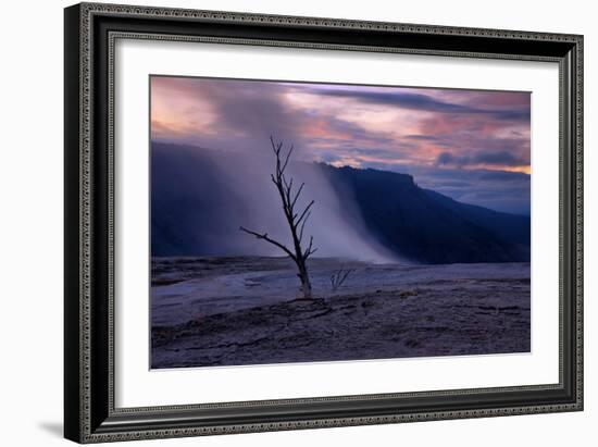 Moody Hot Springs Sunset Tree, Mammoth Hot Springs, Yellowstone-Vincent James-Framed Photographic Print