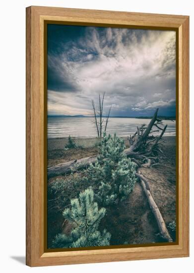 Moody Lakeside Storm, Yellowstone-Vincent James-Framed Premier Image Canvas