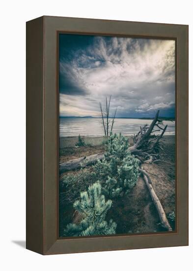 Moody Lakeside Storm, Yellowstone-Vincent James-Framed Premier Image Canvas