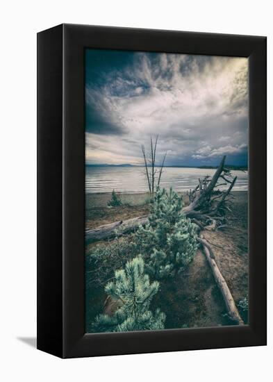 Moody Lakeside Storm, Yellowstone-Vincent James-Framed Premier Image Canvas