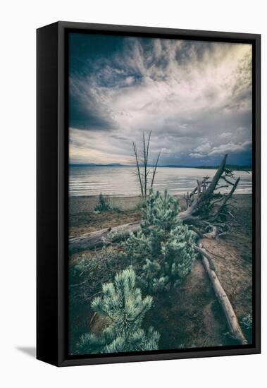 Moody Lakeside Storm, Yellowstone-Vincent James-Framed Premier Image Canvas