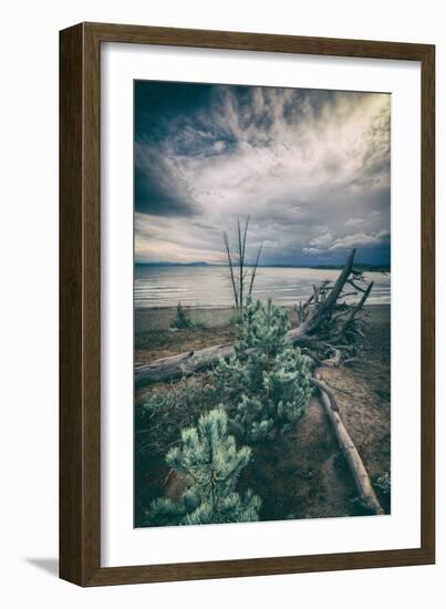 Moody Lakeside Storm, Yellowstone-Vincent James-Framed Photographic Print