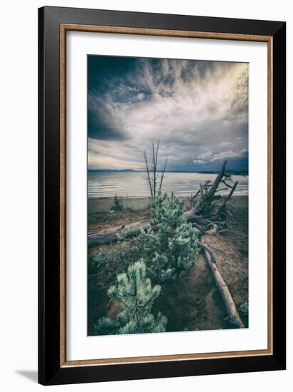 Moody Lakeside Storm, Yellowstone-Vincent James-Framed Photographic Print