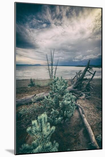 Moody Lakeside Storm, Yellowstone-Vincent James-Mounted Photographic Print