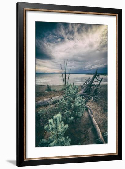 Moody Lakeside Storm, Yellowstone-Vincent James-Framed Photographic Print