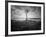 Moody Marsh Tree in Black and White, Central California-null-Framed Photographic Print