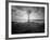 Moody Marsh Tree in Black and White, Central California-null-Framed Photographic Print