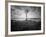 Moody Marsh Tree in Black and White, Central California-null-Framed Photographic Print