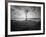 Moody Marsh Tree in Black and White, Central California-null-Framed Photographic Print