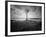 Moody Marsh Tree in Black and White, Central California-null-Framed Photographic Print