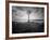 Moody Marsh Tree in Black and White, Central California-null-Framed Photographic Print