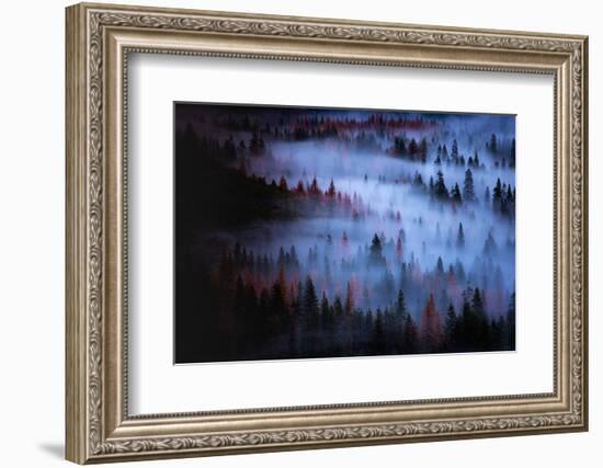 Moody Mesmer Fog & Light Trees Sark Yosemite Winter Storm Valley-Vincent James-Framed Photographic Print