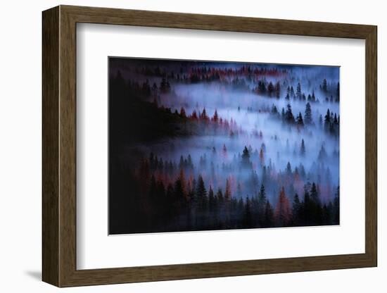 Moody Mesmer Fog & Light Trees Sark Yosemite Winter Storm Valley-Vincent James-Framed Photographic Print