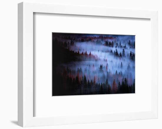 Moody Mesmer Fog & Light Trees Sark Yosemite Winter Storm Valley-Vincent James-Framed Photographic Print