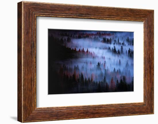 Moody Mesmer Fog & Light Trees Sark Yosemite Winter Storm Valley-Vincent James-Framed Photographic Print