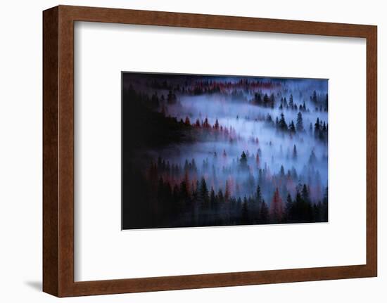 Moody Mesmer Fog & Light Trees Sark Yosemite Winter Storm Valley-Vincent James-Framed Photographic Print