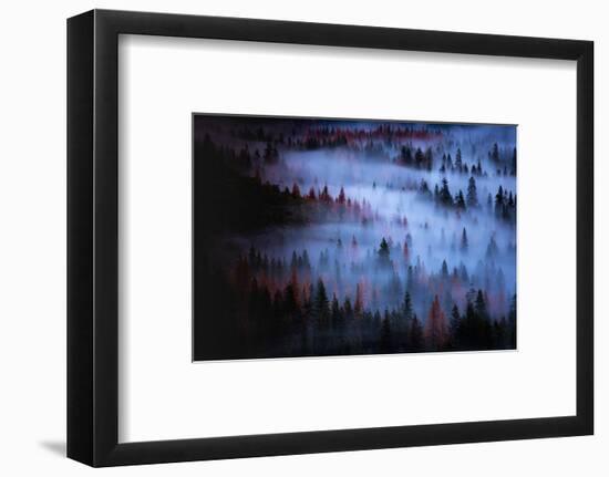 Moody Mesmer Fog & Light Trees Sark Yosemite Winter Storm Valley-Vincent James-Framed Photographic Print