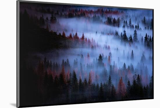 Moody Mesmer Fog & Light Trees Sark Yosemite Winter Storm Valley-Vincent James-Mounted Photographic Print