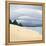 Moody Seagull-Little Dean-Framed Premier Image Canvas