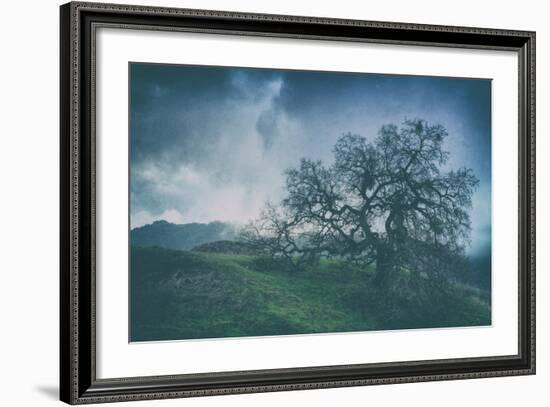 Moody Tree Landscape, Mount Diablo-Vincent James-Framed Photographic Print