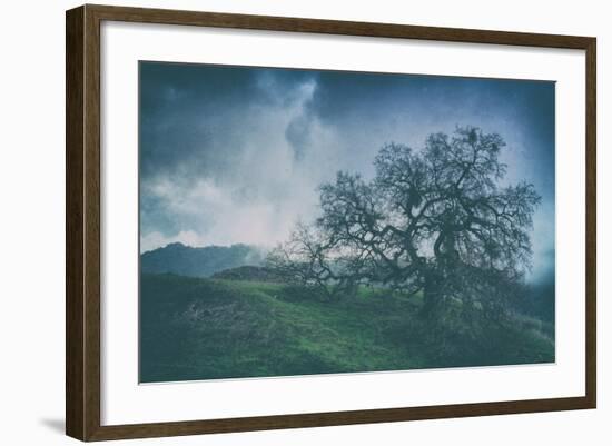 Moody Tree Landscape, Mount Diablo-Vincent James-Framed Photographic Print