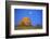 Moon About a Radiant Yellow Tinted Maple Tree-Uwe Steffens-Framed Photographic Print