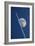 Moon And Aircraft Contrails-Detlev Van Ravenswaay-Framed Photographic Print