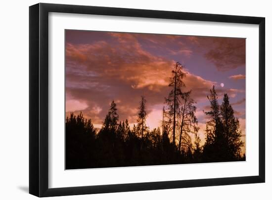 Moon and Cloudscape at Sunset, Yellowstone Wyoming-Vincent James-Framed Photographic Print