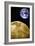 Moon And Earth, Artwork-Victor De Schwanberg-Framed Photographic Print