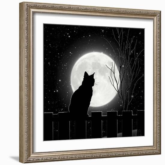 Moon Bath II-Tina Lavoie-Framed Giclee Print