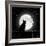 Moon Bath II-Tina Lavoie-Framed Giclee Print