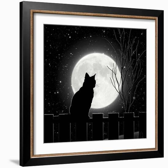 Moon Bath II-Tina Lavoie-Framed Giclee Print