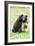 Moon Bear-Lantern Press-Framed Art Print