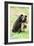 Moon Bear-Lantern Press-Framed Art Print