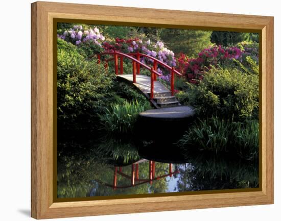 Moon Bridge and Pond in a Japanese Garden, Seattle, Washington, USA-Jamie & Judy Wild-Framed Premier Image Canvas