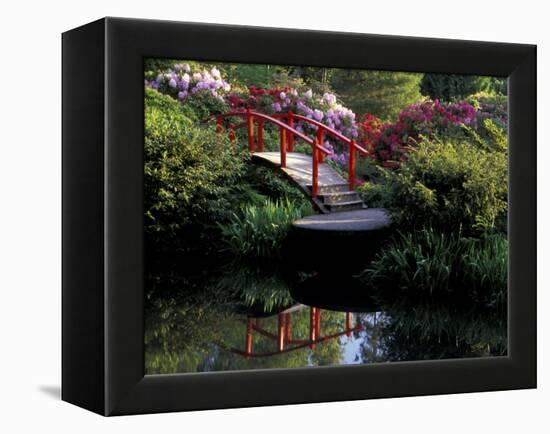 Moon Bridge and Pond in a Japanese Garden, Seattle, Washington, USA-Jamie & Judy Wild-Framed Premier Image Canvas