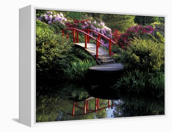 Moon Bridge and Pond in a Japanese Garden, Seattle, Washington, USA-Jamie & Judy Wild-Framed Premier Image Canvas