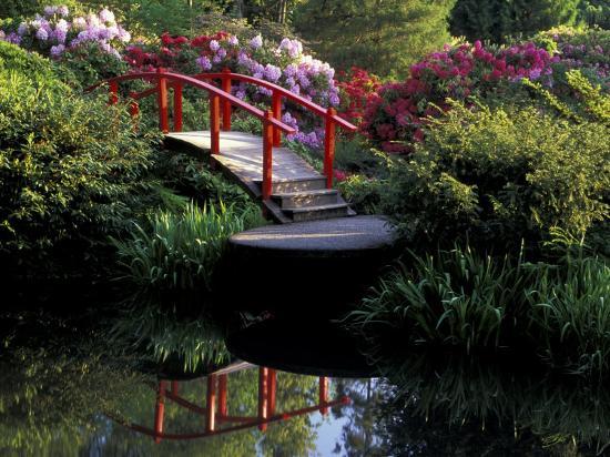 moon bridge and pond in a japanese garden seattle washington usaby jamie judy wild - Japanese Garden Seattle moon bridge and pond in a japanese garden seattle washington usaby jamie judy wild - Japanese Garden Seattle
