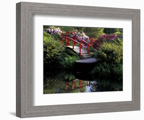 Moon Bridge and Pond in a Japanese Garden, Seattle, Washington, USA-Jamie & Judy Wild-Framed Photographic Print