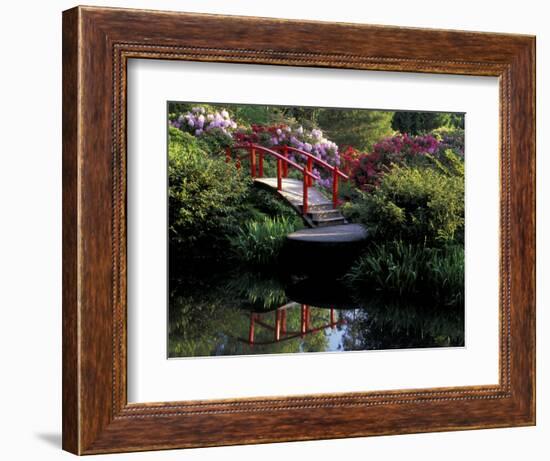 Moon Bridge and Pond in a Japanese Garden, Seattle, Washington, USA-Jamie & Judy Wild-Framed Photographic Print