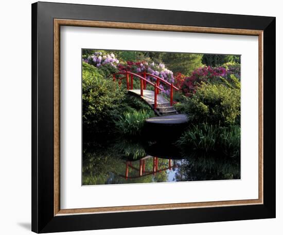 Moon Bridge and Pond in a Japanese Garden, Seattle, Washington, USA-Jamie & Judy Wild-Framed Photographic Print