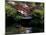 Moon Bridge and Pond in a Japanese Garden, Seattle, Washington, USA-Jamie & Judy Wild-Mounted Photographic Print
