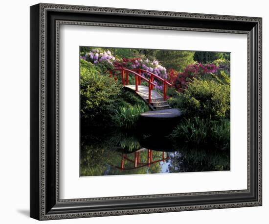 Moon Bridge and Pond in a Japanese Garden, Seattle, Washington, USA-Jamie & Judy Wild-Framed Photographic Print