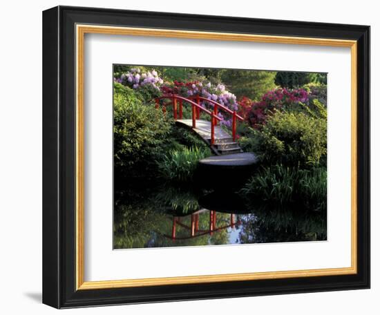 Moon Bridge and Pond in a Japanese Garden, Seattle, Washington, USA-Jamie & Judy Wild-Framed Photographic Print