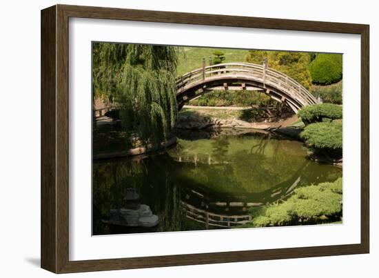 Moon Bridge II-Erin Berzel-Framed Photographic Print